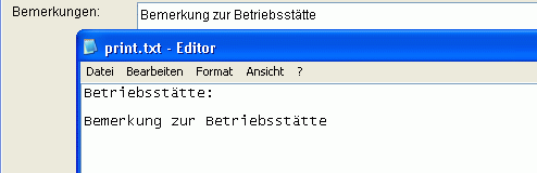 Druckausgabe des Bemerkungstextes Druckausgabe des Bemerkungstextes